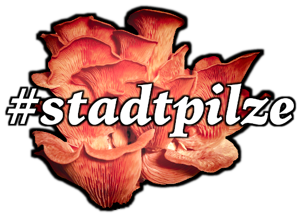 stadtpilz-logo_4.png